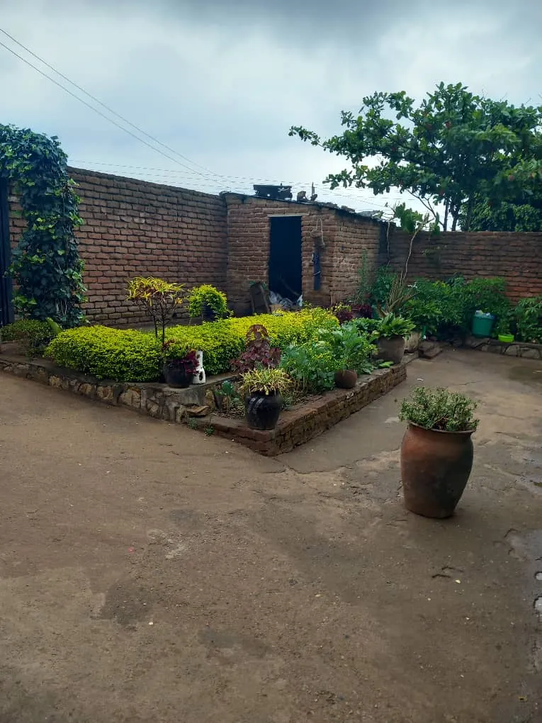 MCJ-HSE-001 (7).webp