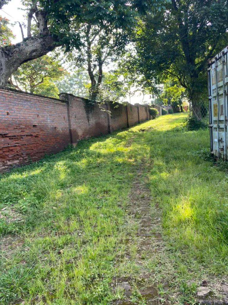 BCA-COM-001 (3).webp