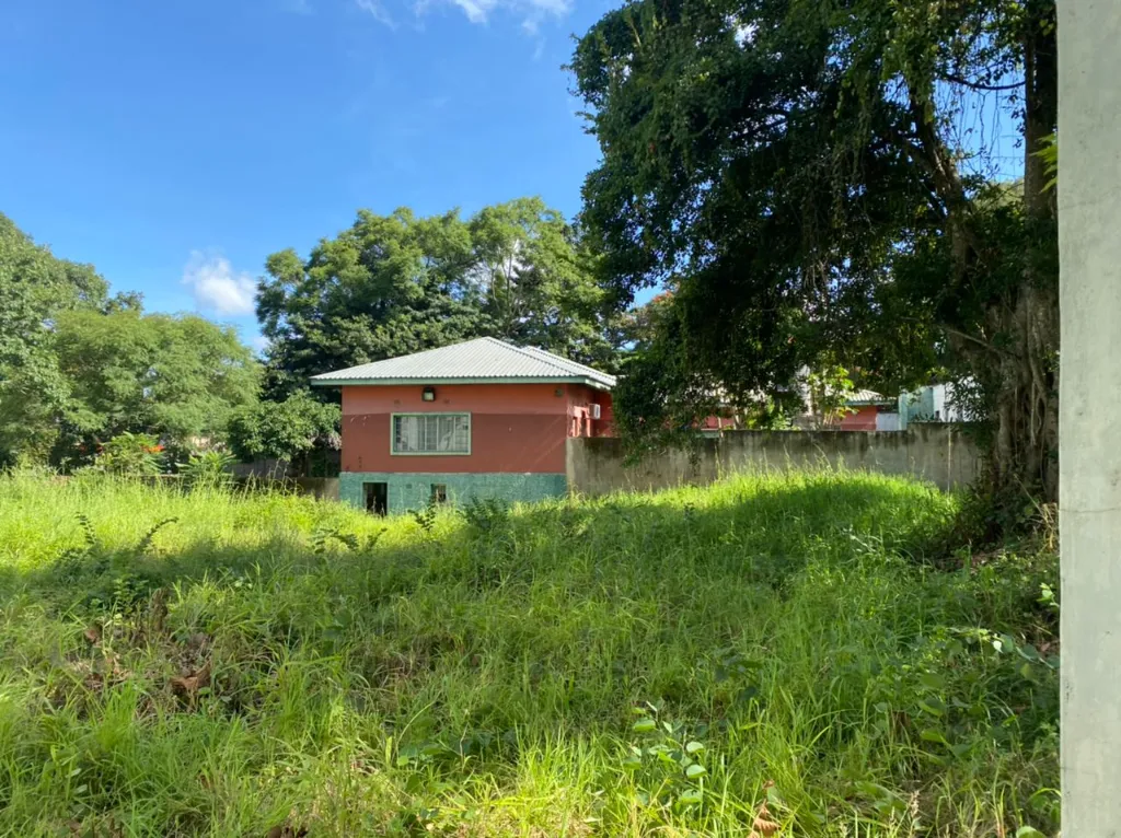 BCA-COM-001 (1).webp