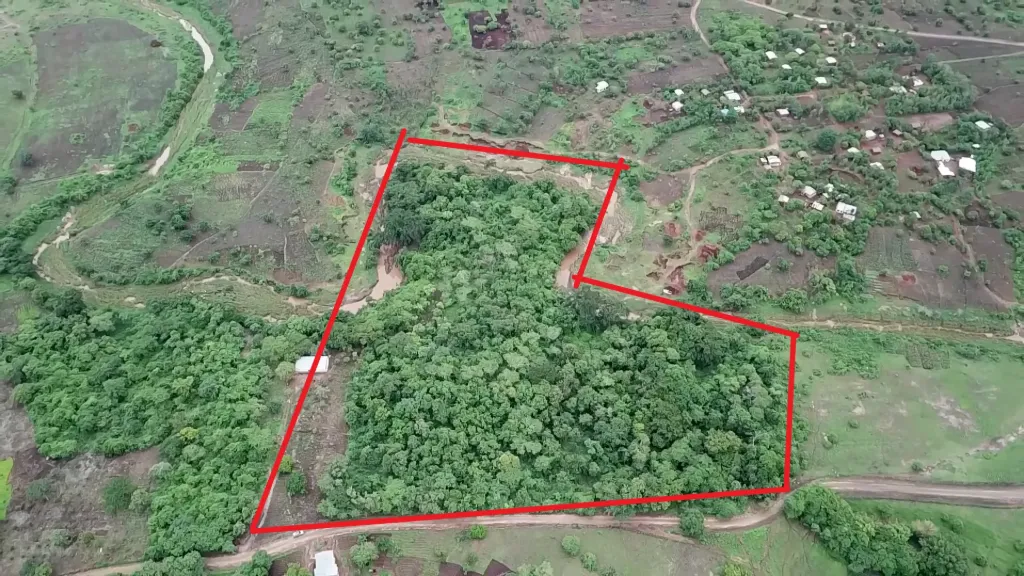 Prime Land in Lunzu